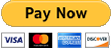 Pay Now button with card logos